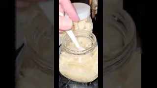 HOW TO PRESERVE YOUR GARLIC