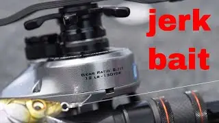HOW TO FISH JERKBAITS  Bass Fishing Tips From A PRO &ndash; KastKing