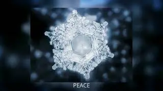 Masuro Emoto Усны туршилт