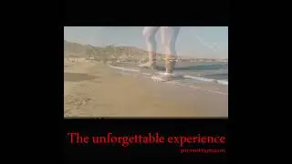 Original camping Nuweiba sinai