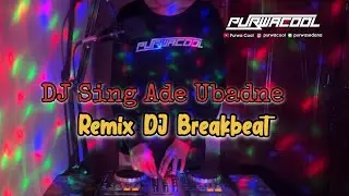 DJ Sing Ade Ubadne -  Arumi Bali ft Ray Peni (Remix Breakbeat)