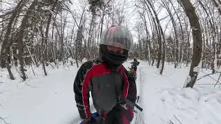 Покатушки по лесу на буксировщиках Ижтехмаш