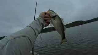 Fishing Before a Storm
