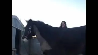 We love to buck!