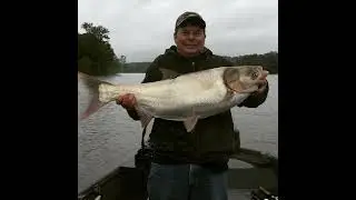 TW 65 - Recognizing Your Trophy Fish, State Records, And Free Fishing Day!