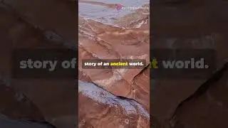 Fossils and Legends: The Painted Desert&rsquo;s Ancient Secrets🌄10 10