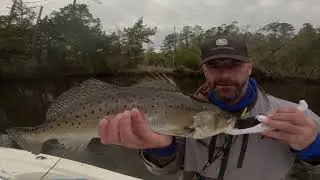 Catching Big Spotted Seatrout Using Live Bait, All Day Long