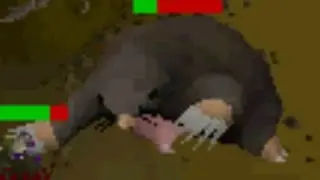 Using Magic to Solo Giant Mole