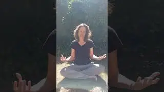 PRANA Y APANA #prana #apana #chakras