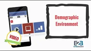 Demographic Environment