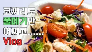 Vlog | 행복한 돼지가 되기로 함 