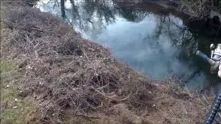 el cavesal