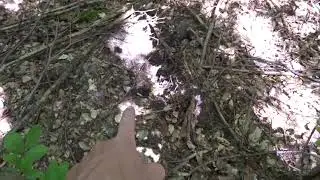 Hügelgräber im Wald erkennen - eine Augenschule