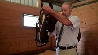 Asthma, Performance and Omega-3s in Racing Thoroughbreds