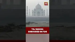 Fog Covers Taj Mahal as Cold Wave Hits Agra, UP | #tajmahal #agranews