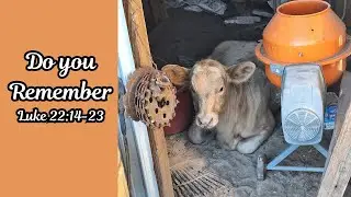What do you Remember | Pastor Jason Jones | Inspired Outdoors