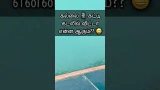 Mystery!! Under water Exploration 🤿 #echosounder #underwater #depth #highlights #ocean #exploration