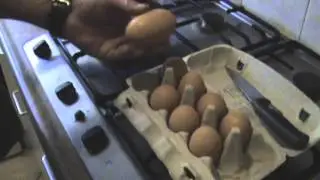 Brahma eggs