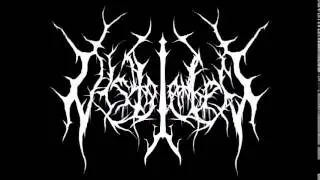 Corrupted Shards of a Broken Euphoria - Obsidian Forest