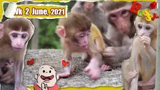 Морщинистые ангелочки 😇 – настоящее наслаждение для глаз!