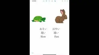 【Learning Japanese】opposing adjectives #shorts