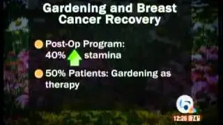 Medical Breakthrough: Breast Cancer