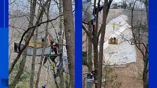 One Mountain Valley Pipeline tree-sitter removed