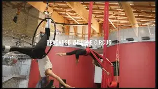 aerialcirus adults by matchless
