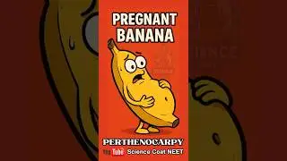 Parthenocarpy kya hai? | Seedless Fruits Explained | NEET Biology Short in Hindi