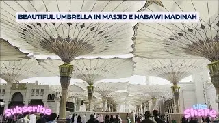 Beautiful Umbrella in Masjid e Nabawi Madina Vlog | Madinah umbrellas