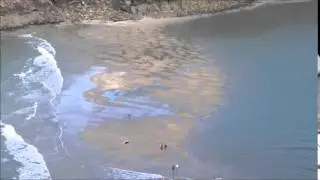 River Yealm Low Tide