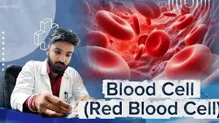  BLOOD Cell( Part 1 )#RBC# | KEY POINT | FUNCTION | FORMATION | DESTRUCTION | #ANATOMY & PHYSIOLOGY 