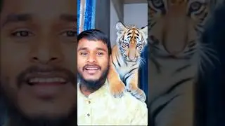 Tiger leopard leap filter 🐅😱 #magic #filter #shorts #viral #tutorial #ai