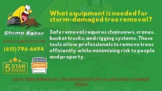 What equipment is needed for storm-damaged tree removal?