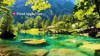 [Fixed Angle Relaxation View] 🇨🇭 Blausee in Kandergrund ,Bern, Switzerland