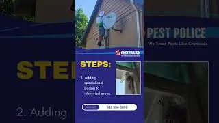 Wasp Control
