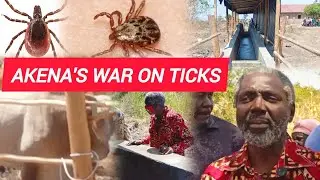 Akena Declares War On Ticks, Revives Second Dip In Alebtong