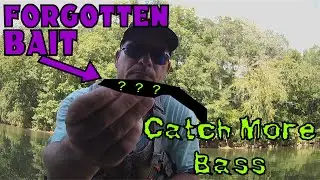 Catch More Bass With This Forgotten Bait