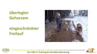 Vorschau dog-ibox Webinar 