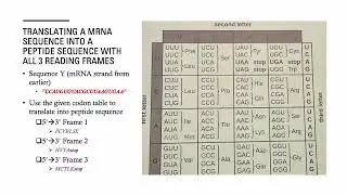 Biochemistry Fall 2025 Tutorial Video Extra Credit