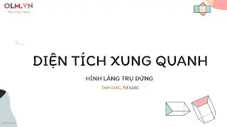 Diện tích xung quanh của hình lăng trụ đứng tam giác, tứ giác | Toán lớp 7 | OLM.VN