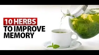 10 Useful Herbs That Improve A Bad Memory