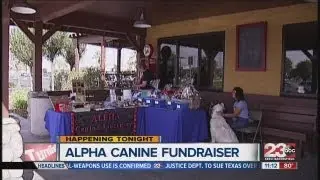 Local animal rescue holds fundraising event in Bakersfield Thursday night