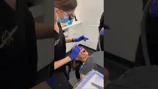 The Smile Designer Dental Studio