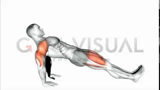 Reverse plank