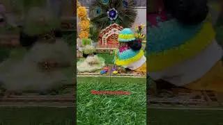 Madhav ne li laddu ki toffee | #MeraPyaraKanhaiya #NewVideo #LadduGopal