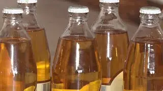 Produtor rural fabrica artesanalmente cajuína em trabalho familiar em Várzea Grande 16 10 2021