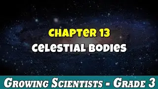 Celestial Bodies - Chapter 13 | Science Class 03 | For Kids | Pax International