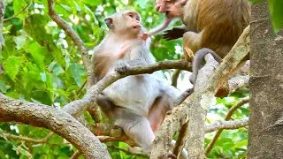 Brighten Keeps Button&rsquo;s Baby Close and Wants It to Play with Her Baby