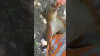 Долгое время не виделись, не забыла 🙂